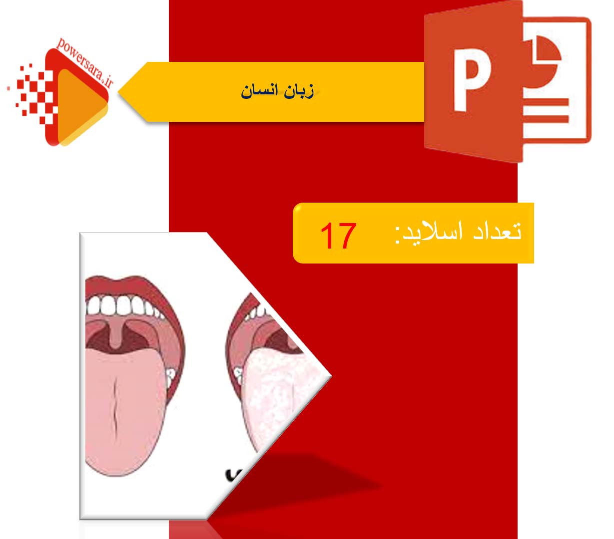 پاورپوینت در مورد زبان انسان 